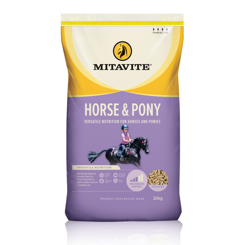 Horse feed top suppliers near me