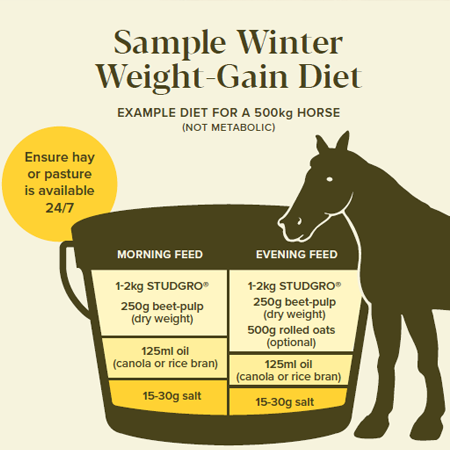 Smart Winter Weight-Gain Cheat Sheet